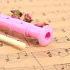 Блокфлейта Music Life, розовая, немецкая система, сопрано, 30 см - Фото 3