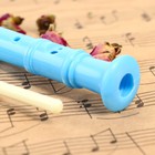 Блокфлейта Music Life, голубая, немецкая система, сопрано, 30 см - Фото 3