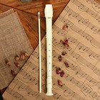 Блокфлейта Music Life, бежевая, немецкая система, сопрано, 30 см - Фото 2