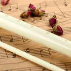 Блокфлейта Music Life, бежевая, немецкая система, сопрано, 30 см - Фото 4