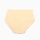 Трусы женские цвет бежевый, размер 56-58 (комплект 2 шт) - фото 22094018