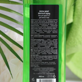 Гель для душа FRESH MINT "Мятный заряд", 400 мл