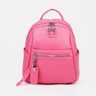 Рюкзак на молнии, 4 наружных кармана, цвет розовый - фото 319344987