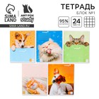 Тетрадь в клетку, 24 листа, А5, на скрепке, блок №1 «Милые питомцы» МИКС - Фото 1