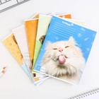 Тетрадь в клетку, 24 листа, А5, на скрепке, блок №1 «Милые питомцы» МИКС - Фото 2
