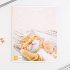 Тетрадь в клетку, 24 листа, А5, на скрепке, блок №1 «Милые питомцы» МИКС - Фото 7