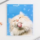 Тетрадь в клетку, 24 листа, А5, на скрепке, блок №1 «Милые питомцы» МИКС - Фото 8