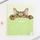 Тетрадь в клетку, 24 листа, А5, на скрепке, блок №1 «Милые питомцы» МИКС - Фото 4