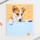 Тетрадь в клетку, 24 листа, А5, на скрепке, блок №1 «Милые питомцы» МИКС - Фото 6