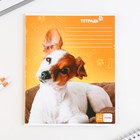 Тетрадь в клетку, 24 листа, А5, на скрепке, блок №1 «Милые питомцы» МИКС - Фото 5
