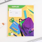 Тетрадь в клетку, 24 листа, А5, на скрепке, блок №1 «Школьные будни» МИКС - Фото 6