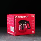 УЦЕНКА Чайник стеклянный заварочный Доляна «Иллюзия», 900 мл, с металлическим ситом - Фото 3