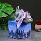 Копилка "Кот на коробочке" серая, 20см - фото 22097696