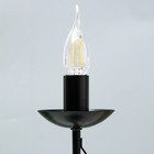 Настольная лампа "Герцогиня" 1х15Вт Е14 черная RISALUX - фото 22099138