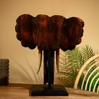 Сувенир "Голова слона" на подставке, албезия 60 см - Фото 4