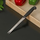 Нож универсальный «Грезы», лезвие 13,5 см - фото 319348920