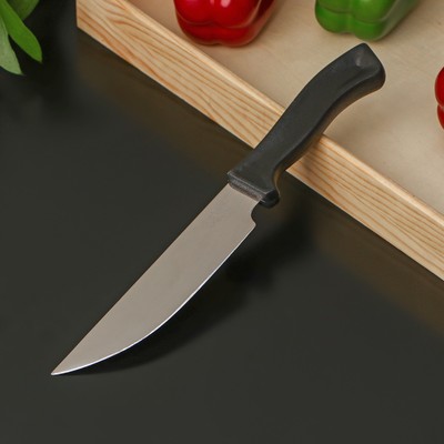 Нож кухонный «Универсальный», лезвие 16 см
