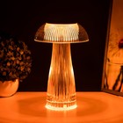 Настольная лампа с ПДУ "Сенор" LED 1Вт RGB АКБ 15х15х26 см RISALUX  (артикул 9330745)  большой выбор товаров оптом и в розницу по низким ценам с доставкой