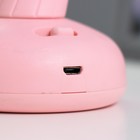 Ночник "Гриб" LED 2Вт USB АКБ МИКС 13х13х21 см RISALUX - Фото 8