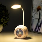 Настольная лампа "Джинни" LED 1Вт USB АКБ МИКС 10х10х27 см RISALUX - Фото 4