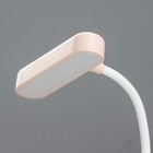 Настольная лампа «Фотоаппарат» LED 2 Вт USB АКБ МИКС 10×6.5×23 см RISALUX 9352521