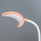 Настольная лампа "Космос" LED 2Вт USB АКБ МИКС 10х7,5х30 см RISALUX - фото 22100916