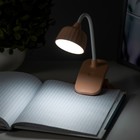 Настольная лампа "Дженер" LED 2Вт USB АКБ МИКС 9х9х22 см RISALUX - Фото 9