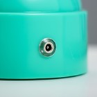 Фигурка светящаяся RISALUX «Шар», LED-ночник, USB, АКБ, 9×9×11 см, МИКС - Фото 12