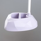 Настольная лампа «Делсер» LED 3 Вт USB АКБ фиолетовый 14×13×39 см RISALUX - Фото 11