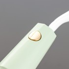 Настольная лампа «Делсер» LED 3 Вт USB АКБ зелёный 14×13×39 см RISALUX - Фото 13