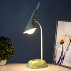 Настольная лампа «Делсер» LED 3 Вт USB АКБ зелёный 14×13×39 см RISALUX - Фото 5