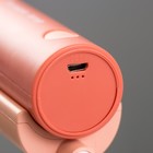 Лампа настольная RISALUX «Лансер», светодиодная, 3.5 Вт, USB, АКБ, красно-розовая, 11×15×45 см - Фото 13