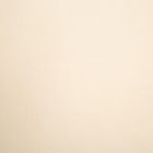 Палантин женский шифоновый, цвет бежевый, размер 50х160 см - Фото 2