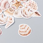 Наклейки для творчества "Морские ракушки" набор 46 шт 4,4х4,4х1,1 см - Фото 2