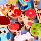 Развивающая игра 2 в 1 балансир, шнуровка «Сказочный лес» 1,5 × 13 × 15, 13 деталей + шнурок - фото 22102141