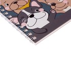 Альбом для рисования Calligrata «Друзья» А5, 32 листа на гребне, обложка мелованный картон, блок 100 г/м² - Фото 3