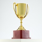 Кубок золото 012, наградная фигура, подставка пластик, 19.2×11.5×8 см - Фото 3