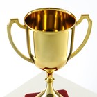 Кубок 012, наградная фигура, золото, подставка пластик, 19,2 × 11,5 × 8 см. - фото 9503187