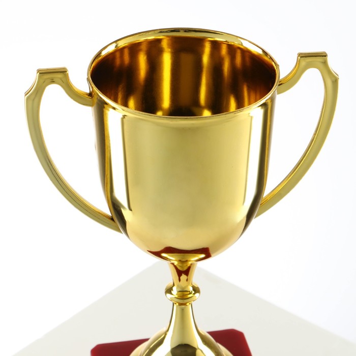 Кубок 012, наградная фигура, золото, подставка пластик, 19,2 × 11,5 × 8 см. - фото 1890613056