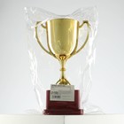 Кубок золото 012, наградная фигура, подставка пластик, 19.2×11.5×8 см - Фото 8
