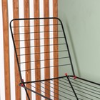 Сушилка для белья напольная Smarty practic, рабочая длина 20 м, цвет чёрный 9511064