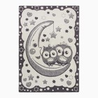 Одеяло байковое Совы на луне 100х140см, цвет серый 400г/м , хлопок 100% - фото 10360083