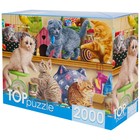 Пазл «Смешные котята в зоомагазине», 2000 элементов - фото 10360106