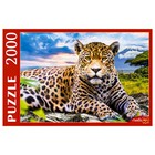 Пазл «Большой леопард», 2000 элементов - фото 10360161