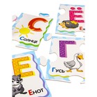 Напольные пазлы «Азбука», 32 элемента, поле 66 × 47 см 9540330