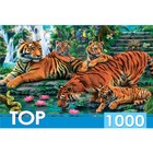 Пазл «Семейство тигров», 1000 элементов - фото 10360266