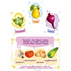 Настольная игра «Первые знания. Фрукты, овощи, ягоды» - Фото 5