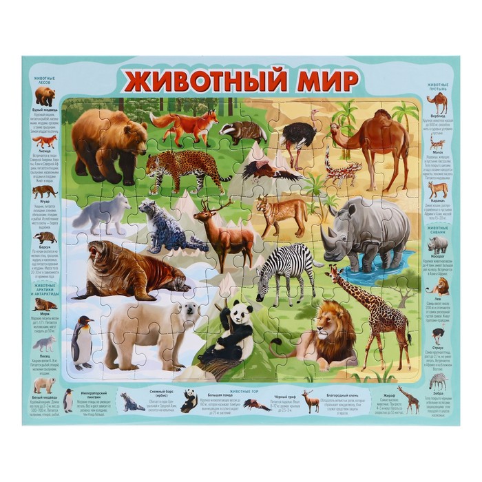 Пазл-рамка «Животный мир», 60 элементов - Фото 1