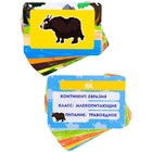Настольная игра «Зверюшки. Кто где живёт» 9540568 - фото 16538539