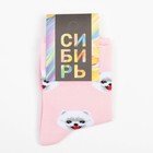 Набор детских носков (5 пар), размер 16 - фото 25374258